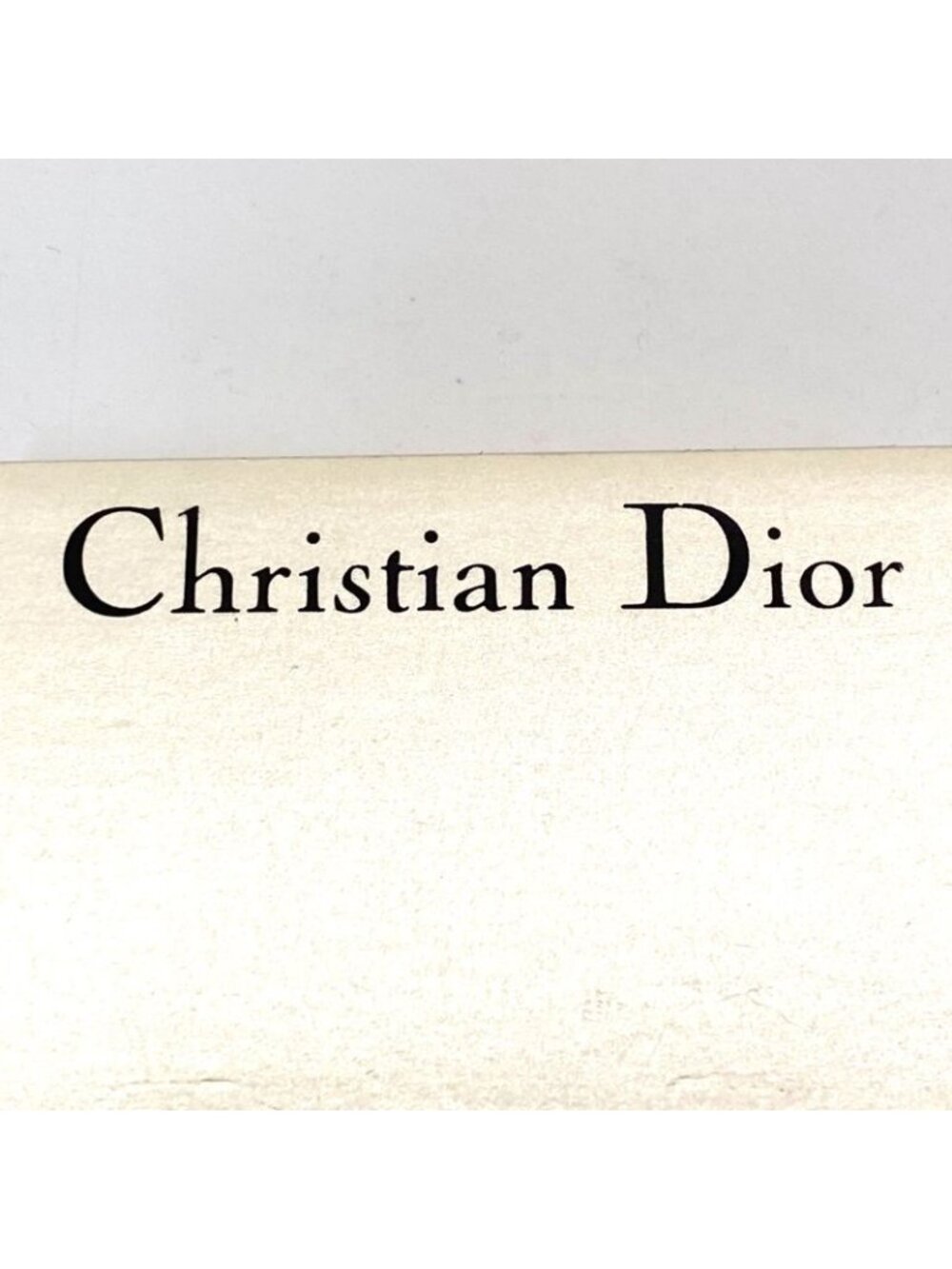 Dior Earrings Silver Logo Formal - Picture 8 of 10